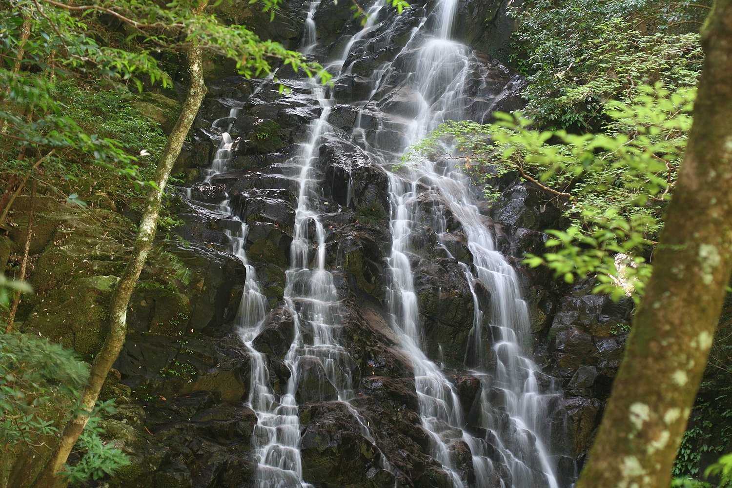 【夏の思い出】滝