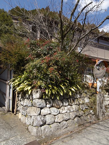 高知・早明浦ダム 