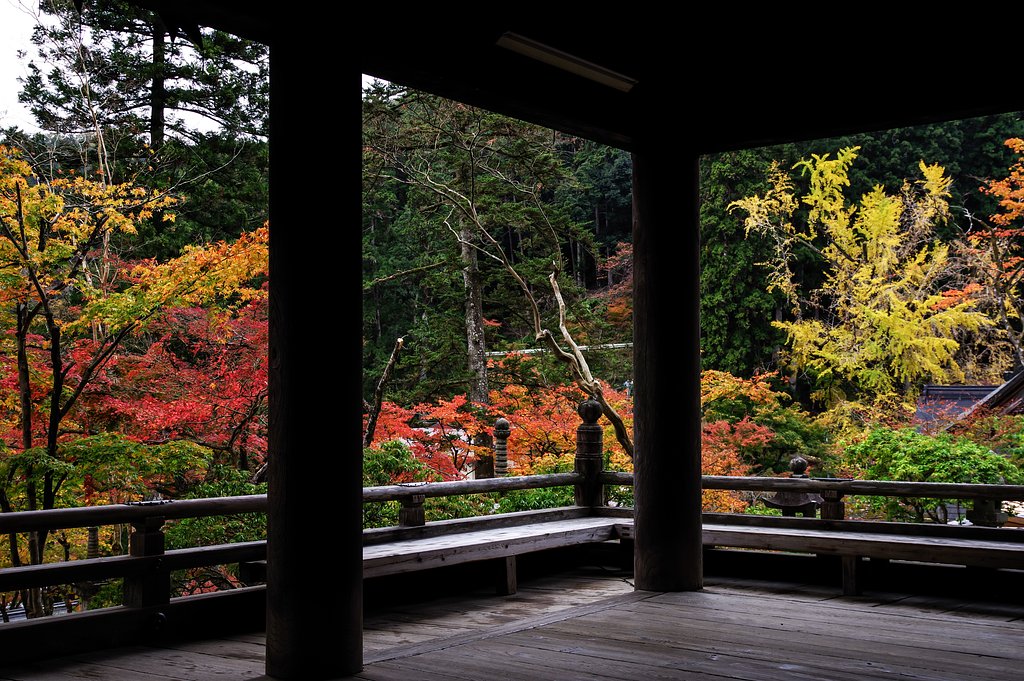 Autumn museum