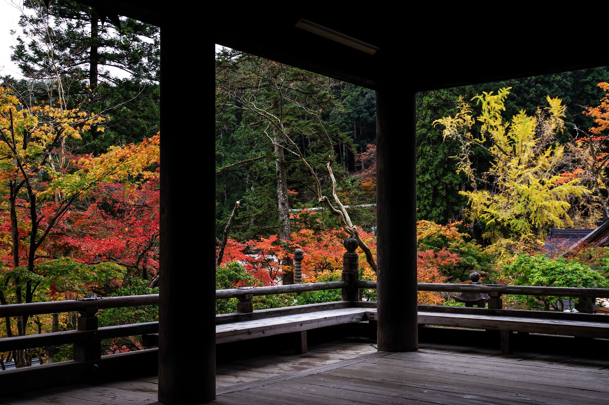 Autumn museum