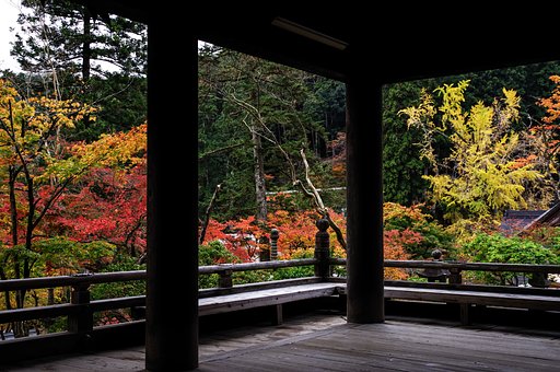 Autumn museum
