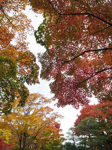◎Pana-LEICA DG SUMMILUX 12mm/F1.4 ASPH.