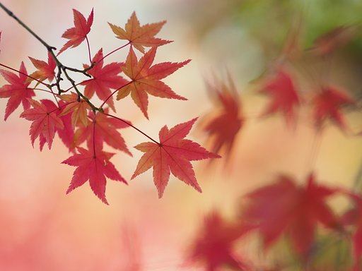 季節は巡りて