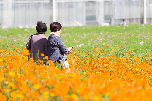花の海