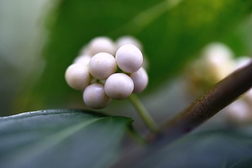 9月20日の写真