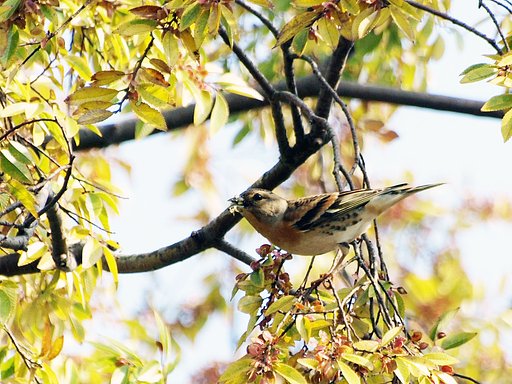 【蔵出し】12月も継続します。