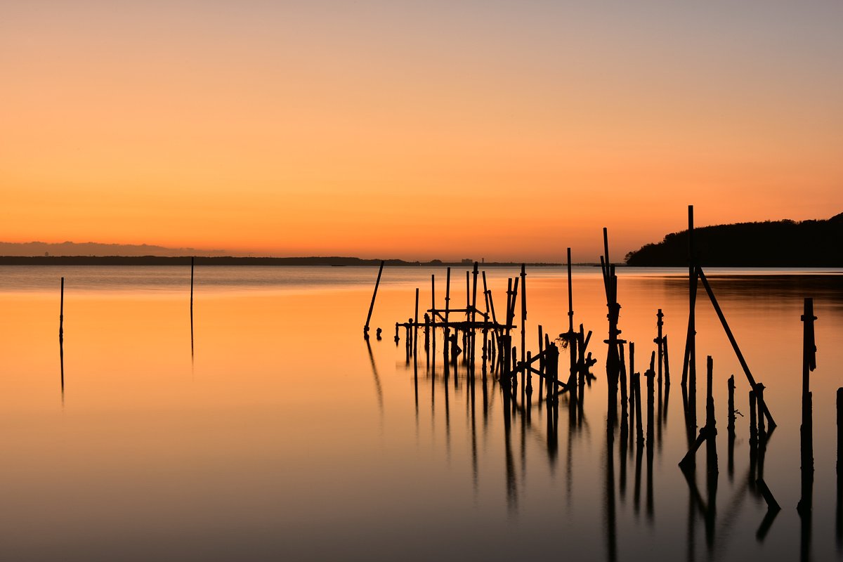 Twilight