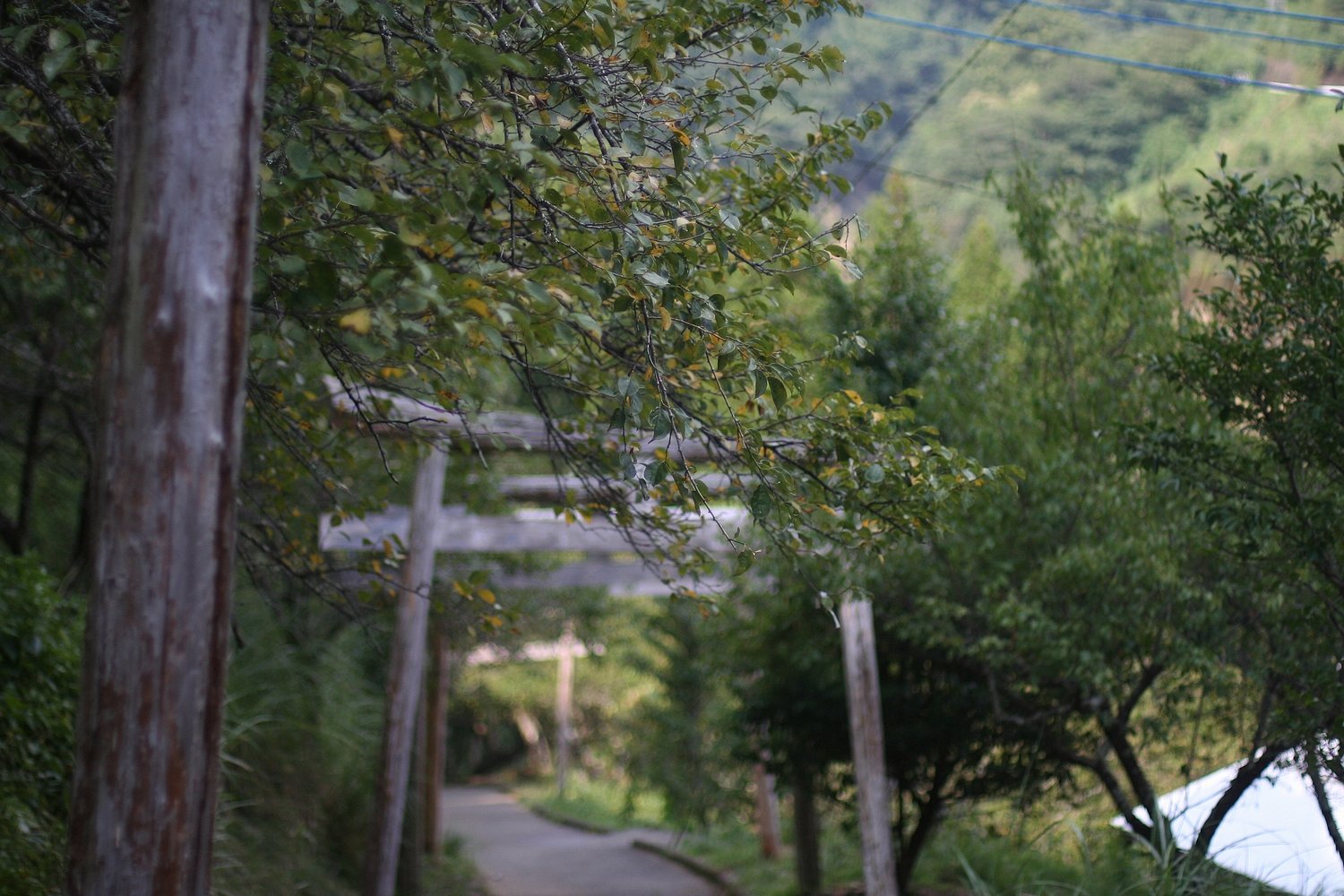 鳥居