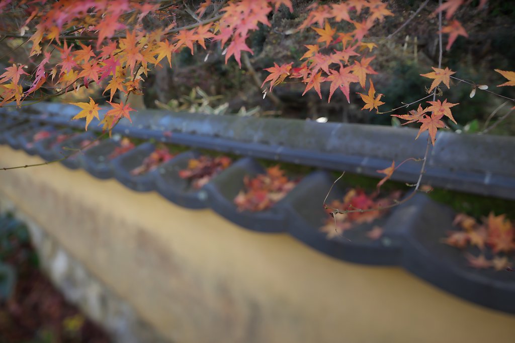 TS-E24 F3.5mmLⅡ