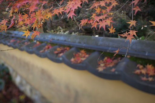 TS-E24 F3.5mmLⅡ