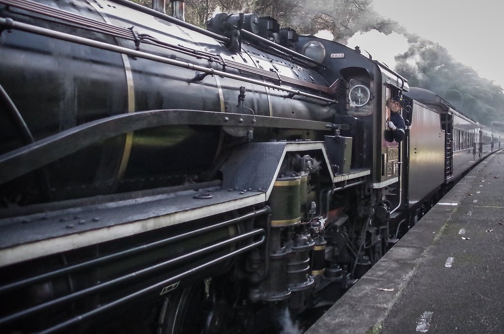 D51