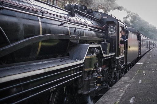 D51