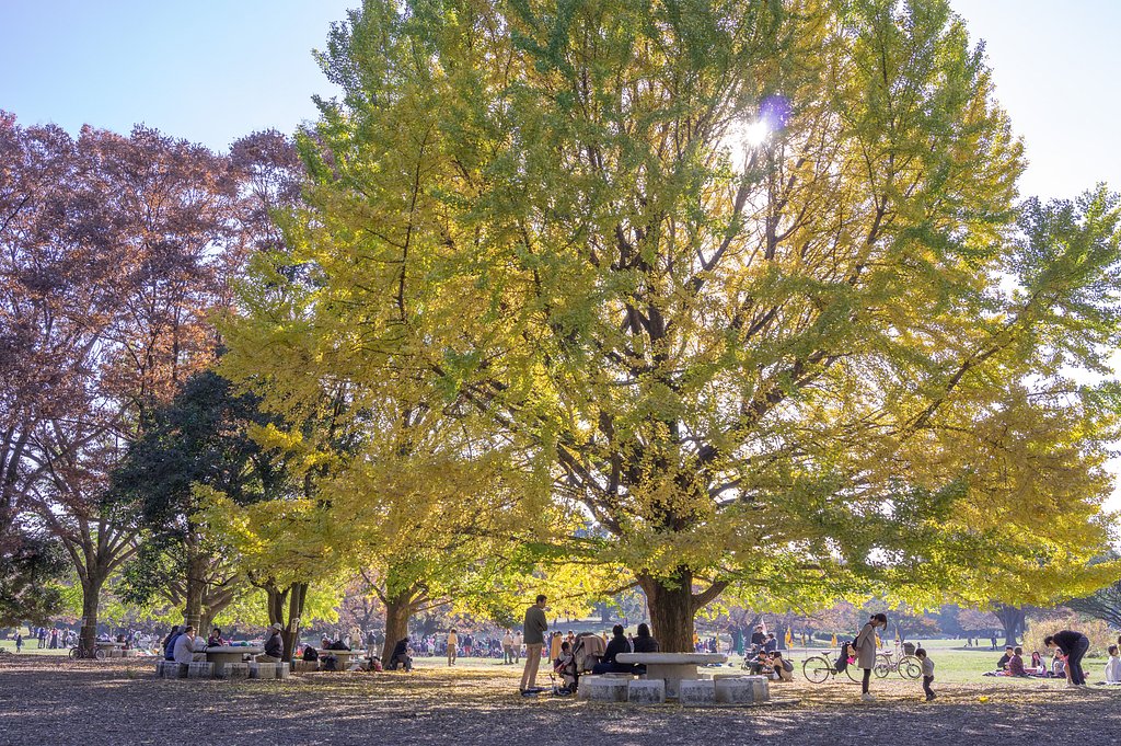 おかあさんといっしょ