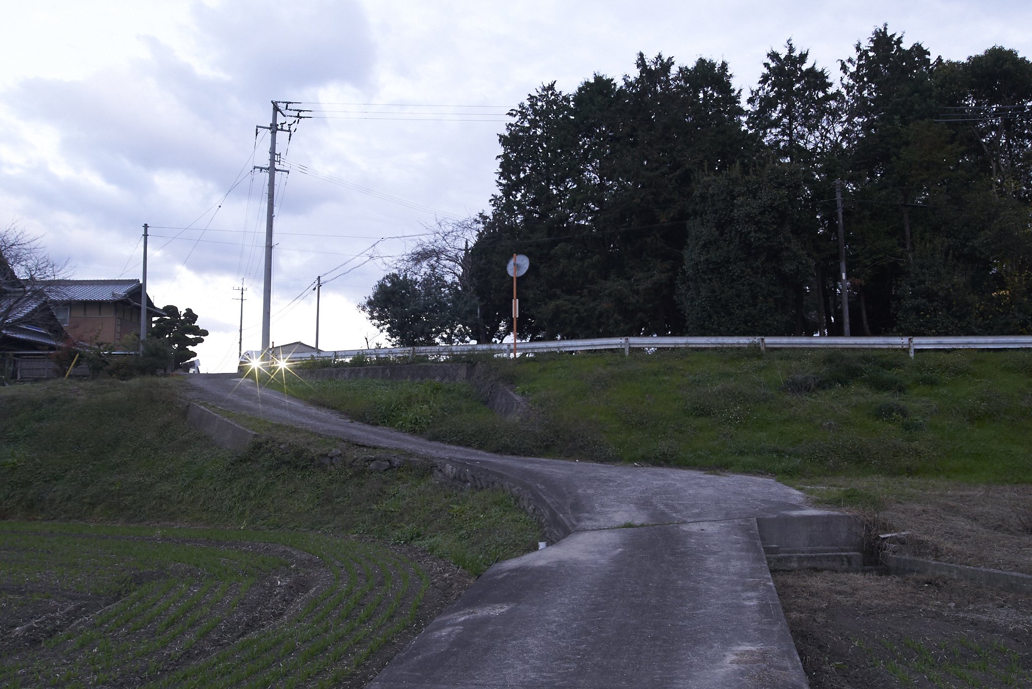 雑感