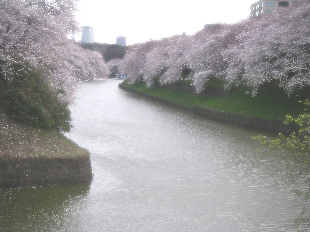 北の丸公園・千鳥ヶ淵