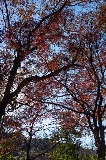EF24-70mm f/4L IS USM
