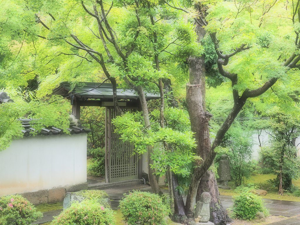 昌光律寺2