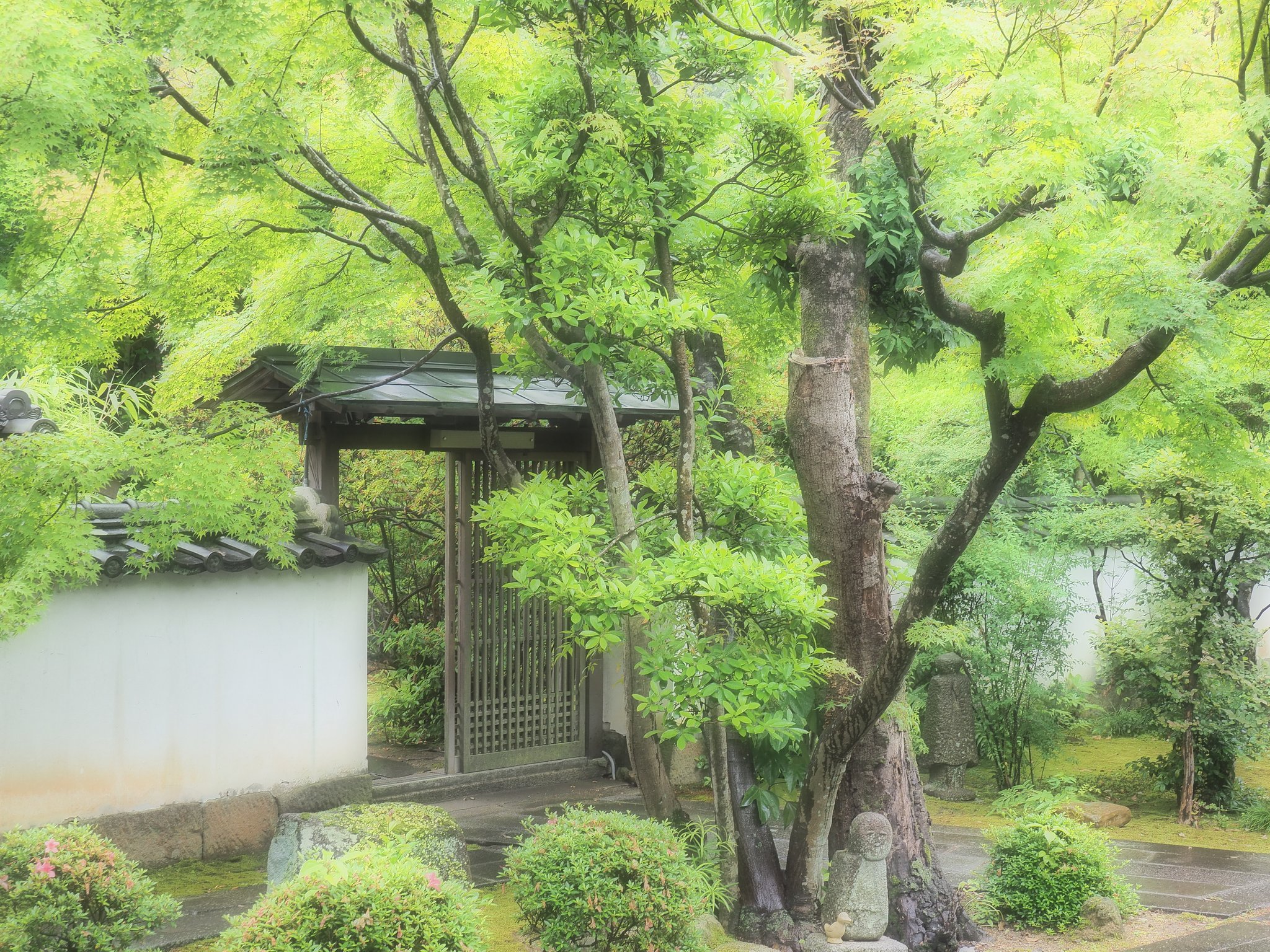 昌光律寺2