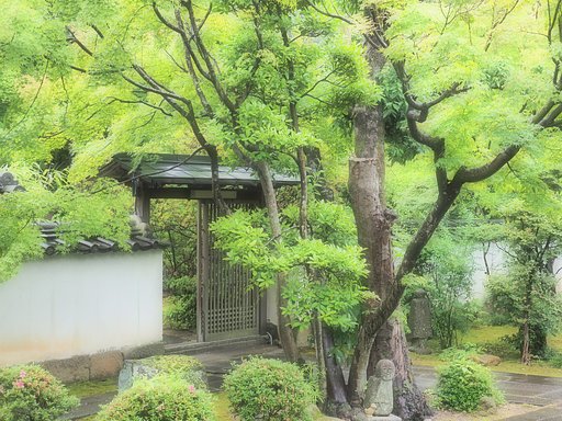 昌光律寺2