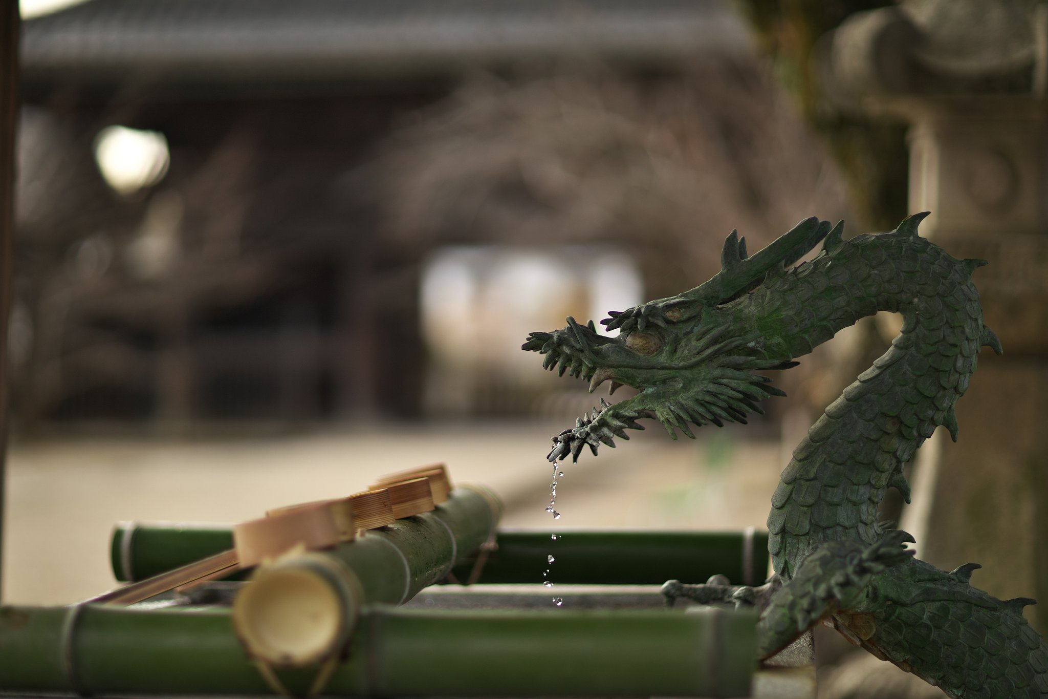 EF85mm F1.2LⅡ