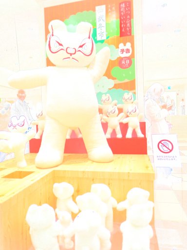 12月30日の写真