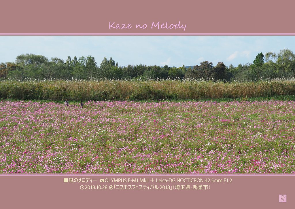 惚れ直し