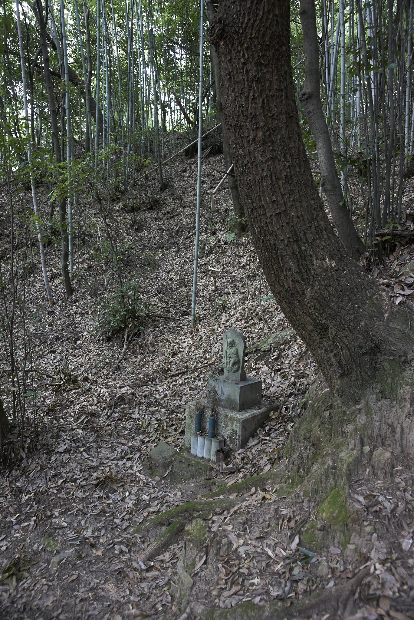 伽藍山