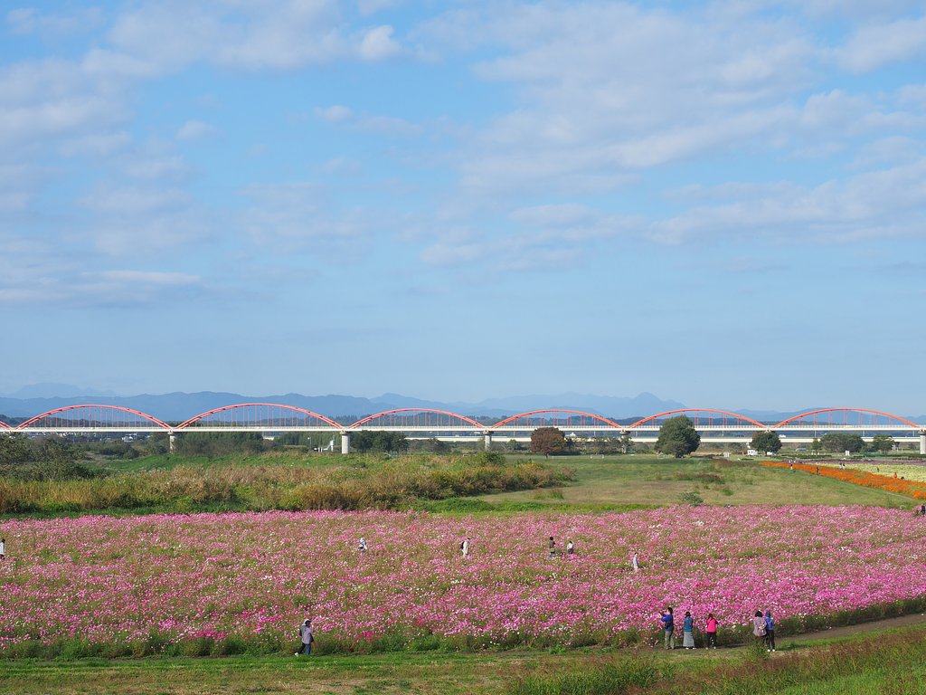 ◎M.ZUIKO DIGITAL ED 12-40mm/F2.8 PRO