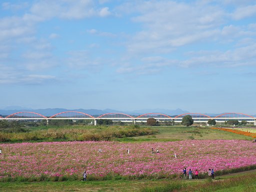◎M.ZUIKO DIGITAL ED 12-40mm/F2.8 PRO