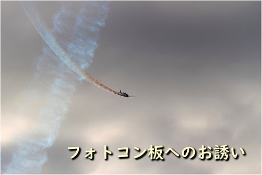 今月のフォトコンへのお誘い