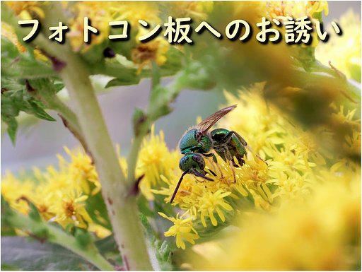 8月5日の写真