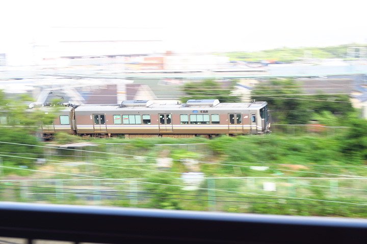 初撮り