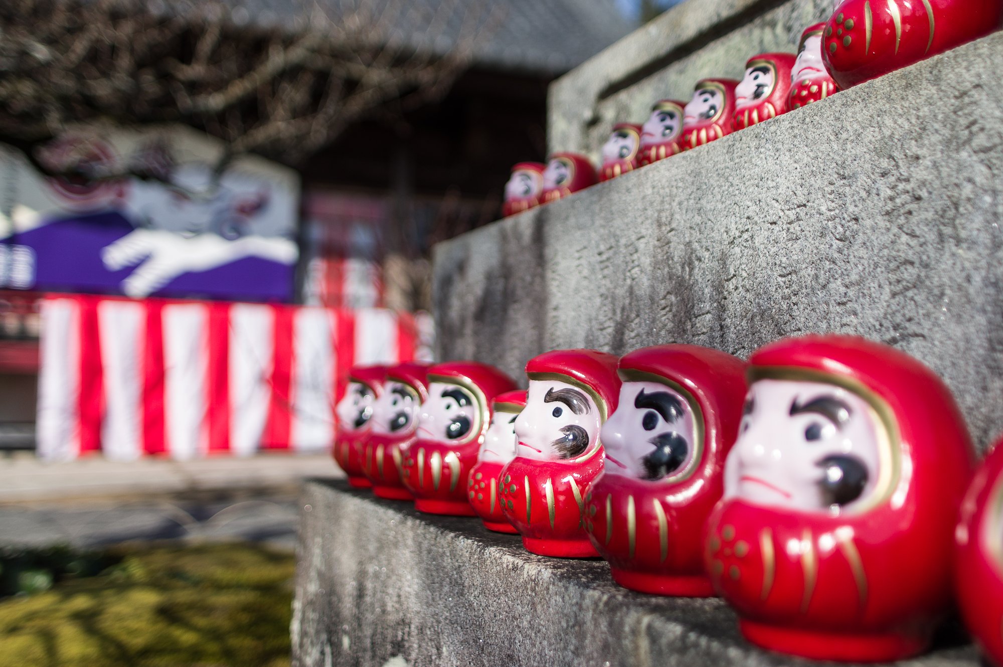 Daruma's