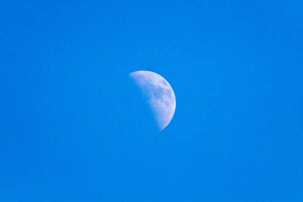 EF100-400mm f/4.5-5.6L IS USM +EXTENDER 2x Ⅱ