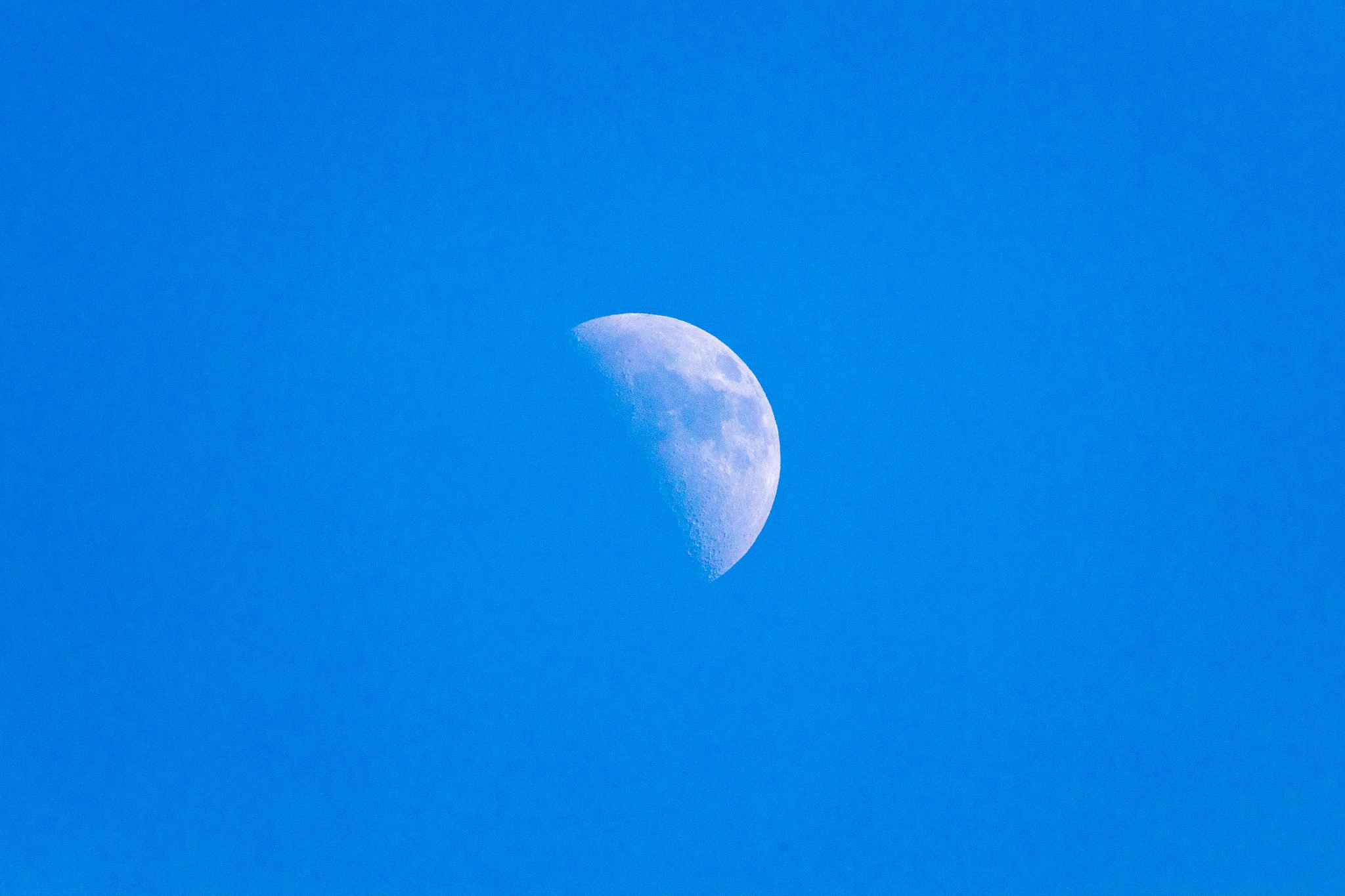 EF100-400mm f/4.5-5.6L IS USM +EXTENDER 2x Ⅱ