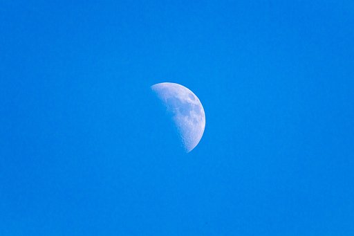 EF100-400mm f/4.5-5.6L IS USM +EXTENDER 2x Ⅱ