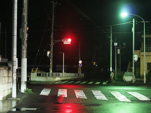 相変わらずの雨です^^;