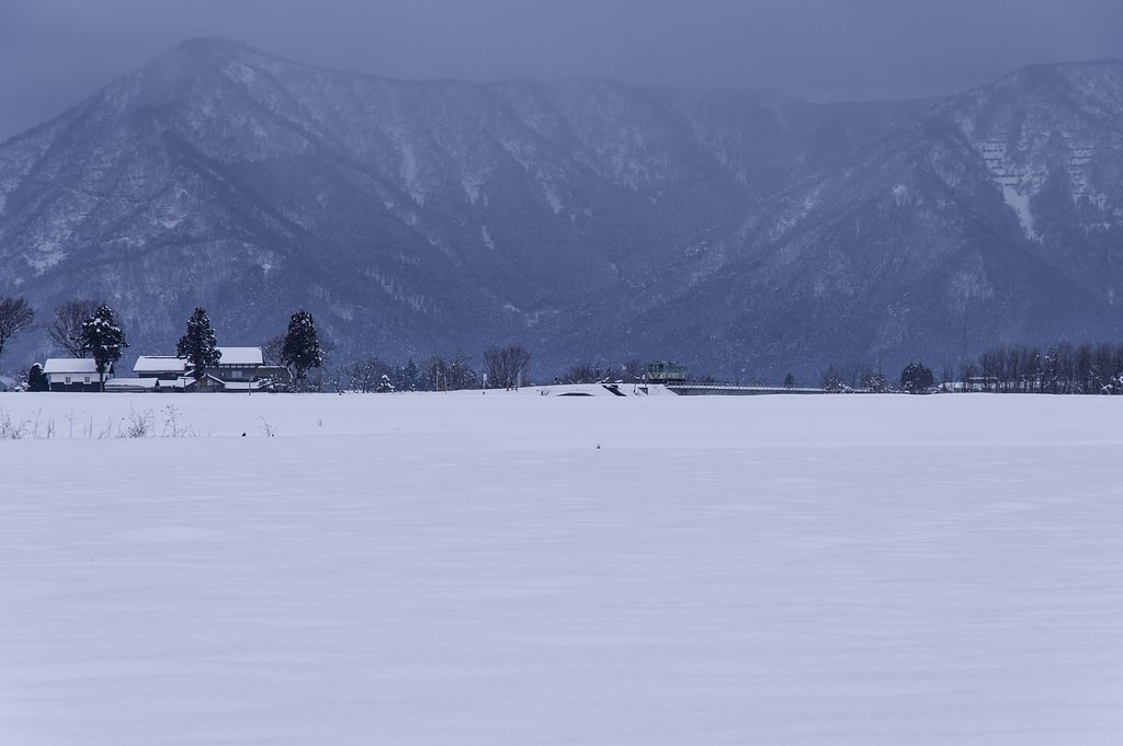 雪原を往く