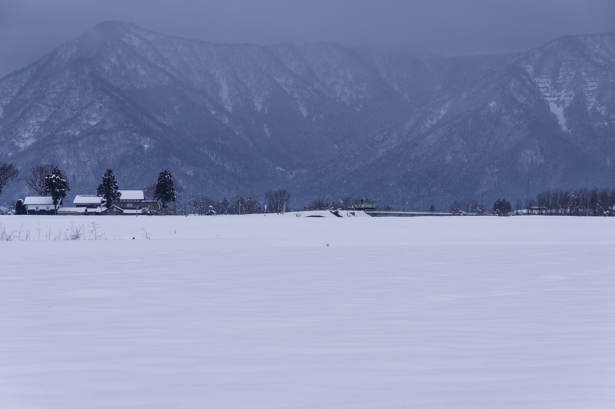 雪原を往く