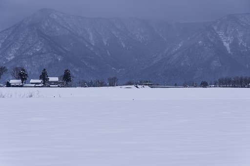雪原を往く