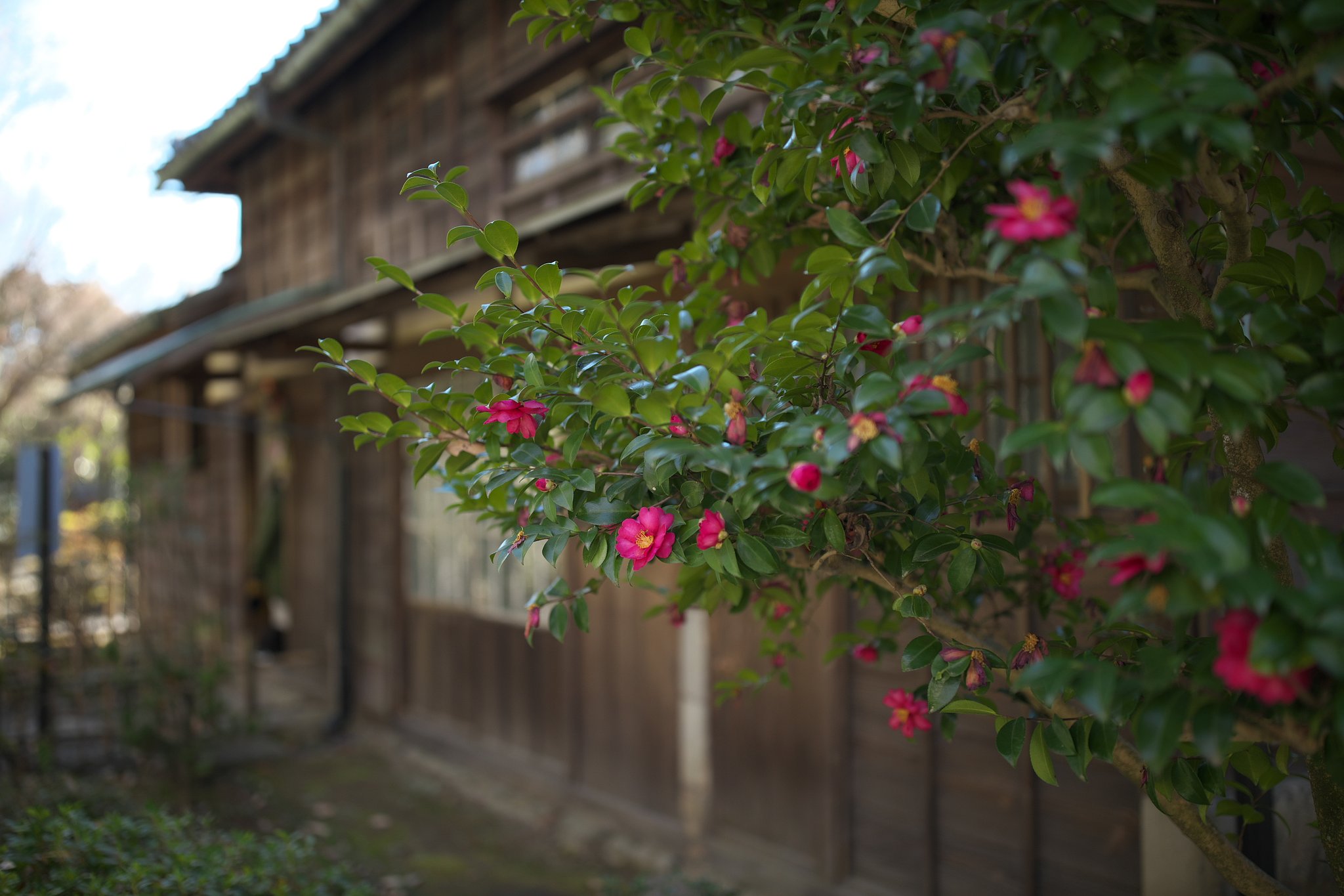 漱石の自宅付近にて