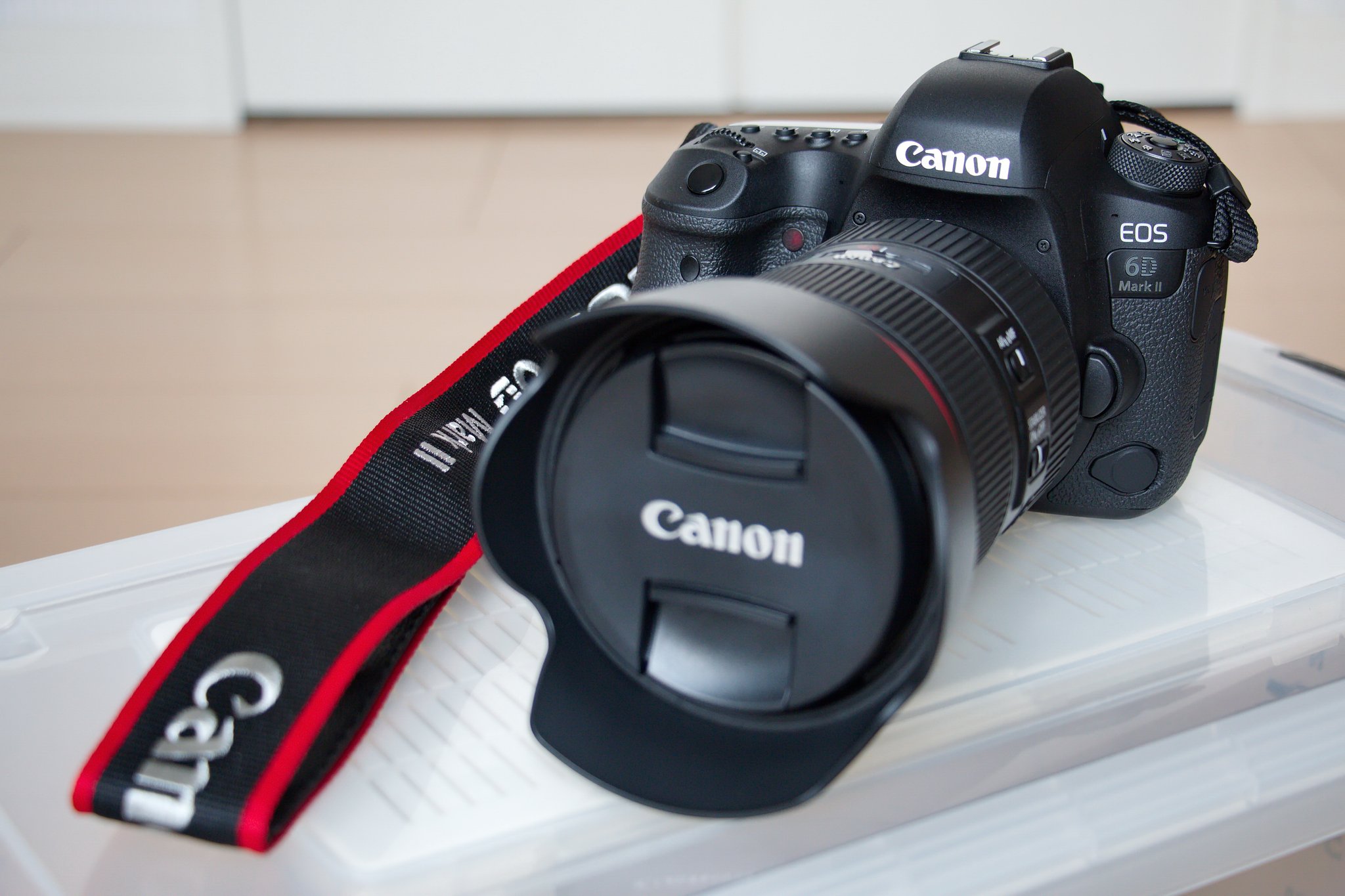 手に入れました！