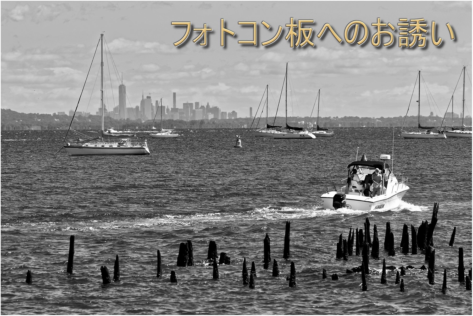 二月のフォトコン板へのお誘い