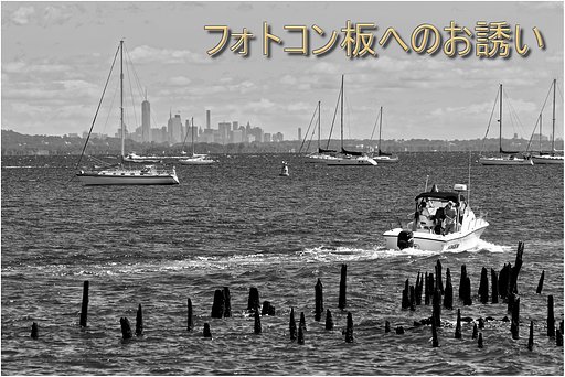 7月2日の写真