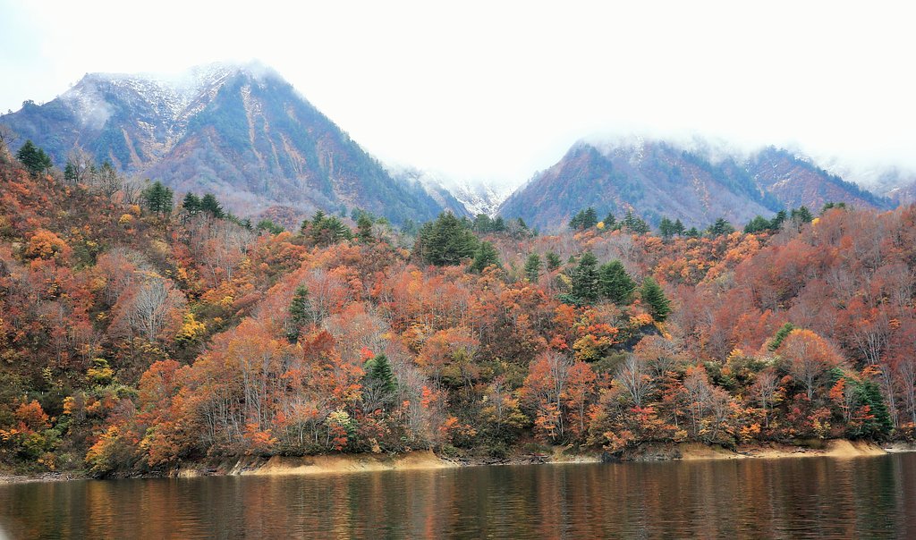 初冠雪