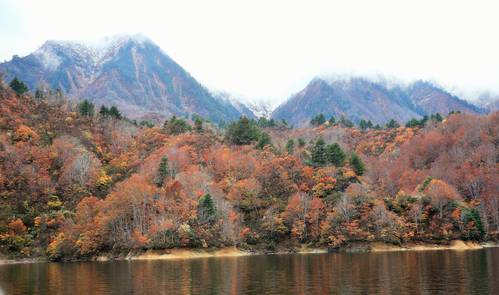 初冠雪
