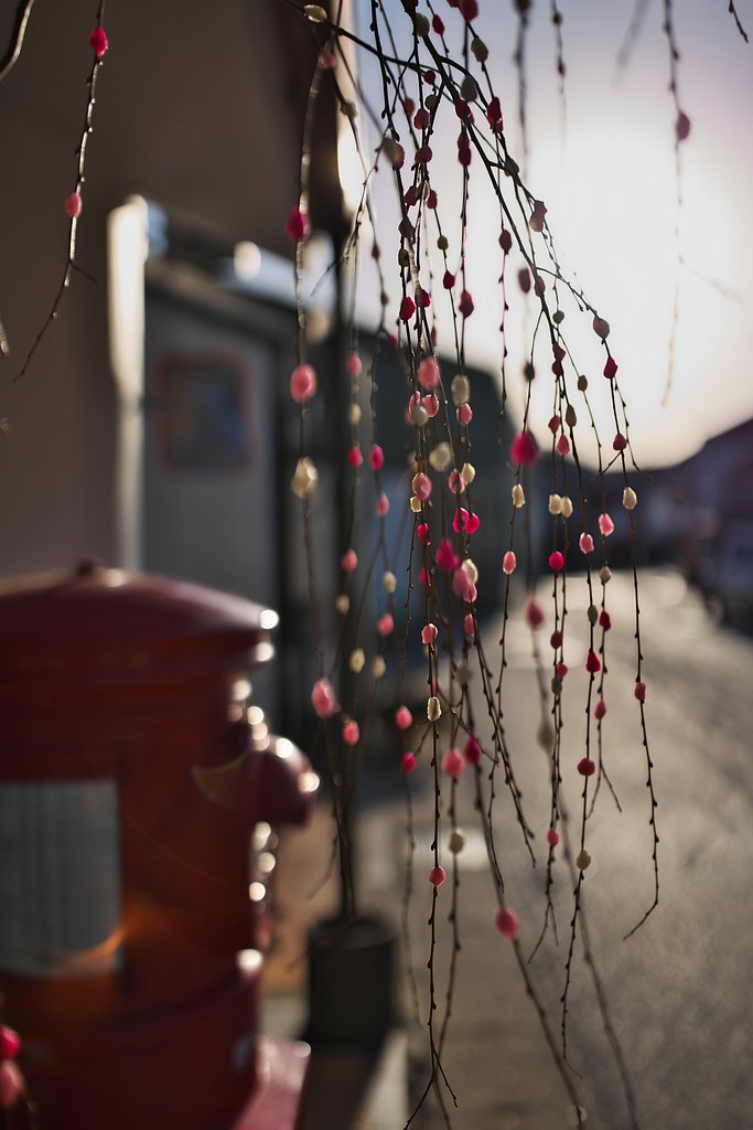 花餅