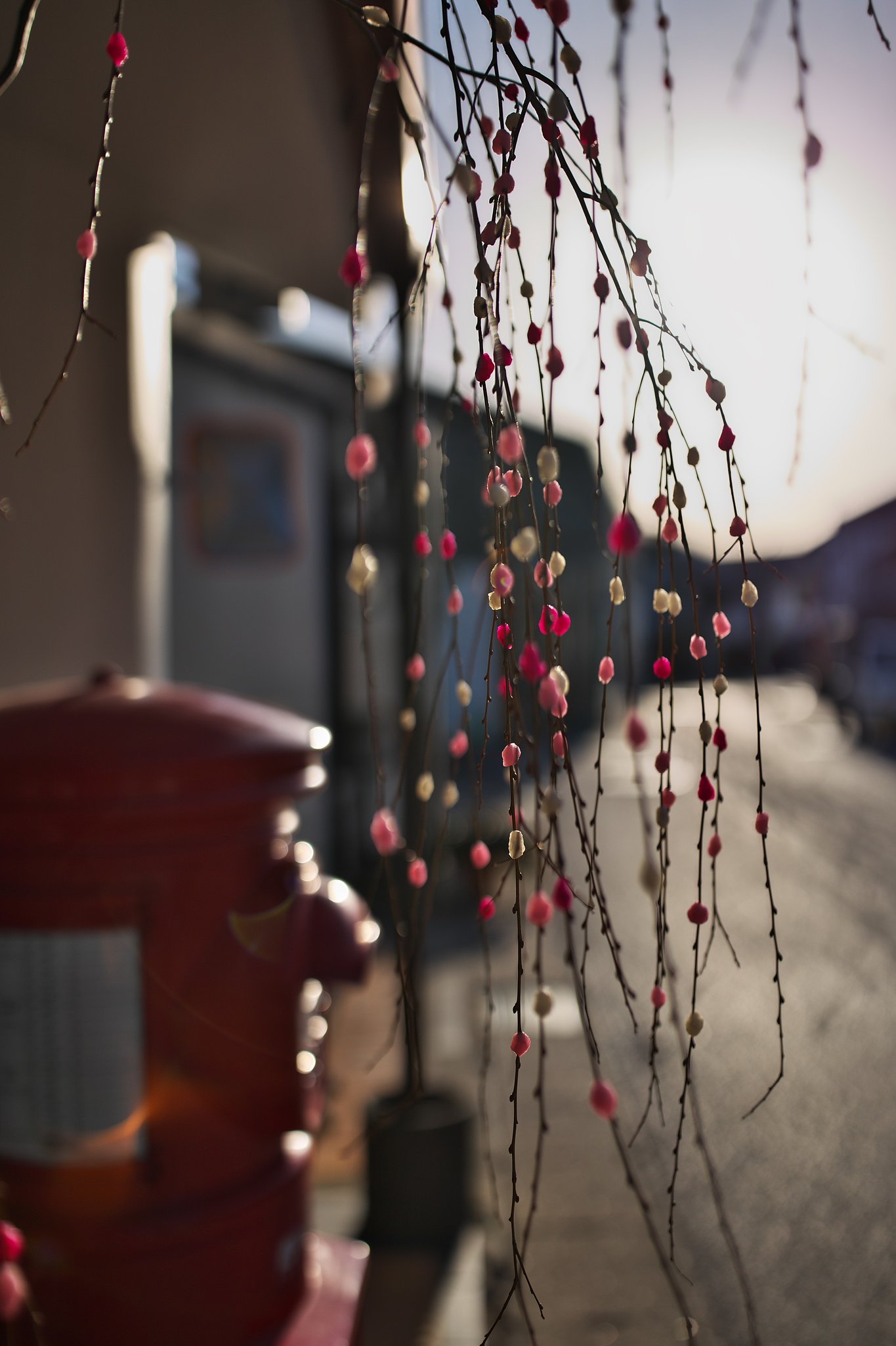 花餅