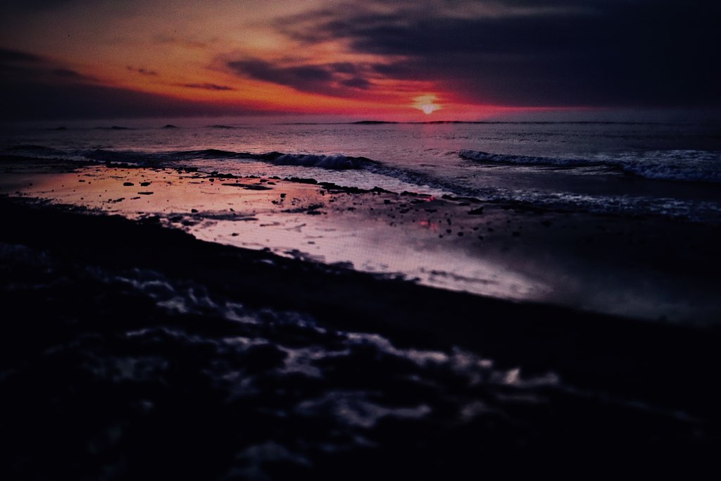 浜辺の朝 2