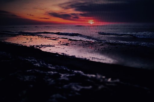 浜辺の朝 2